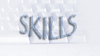 Platform and Programming skills